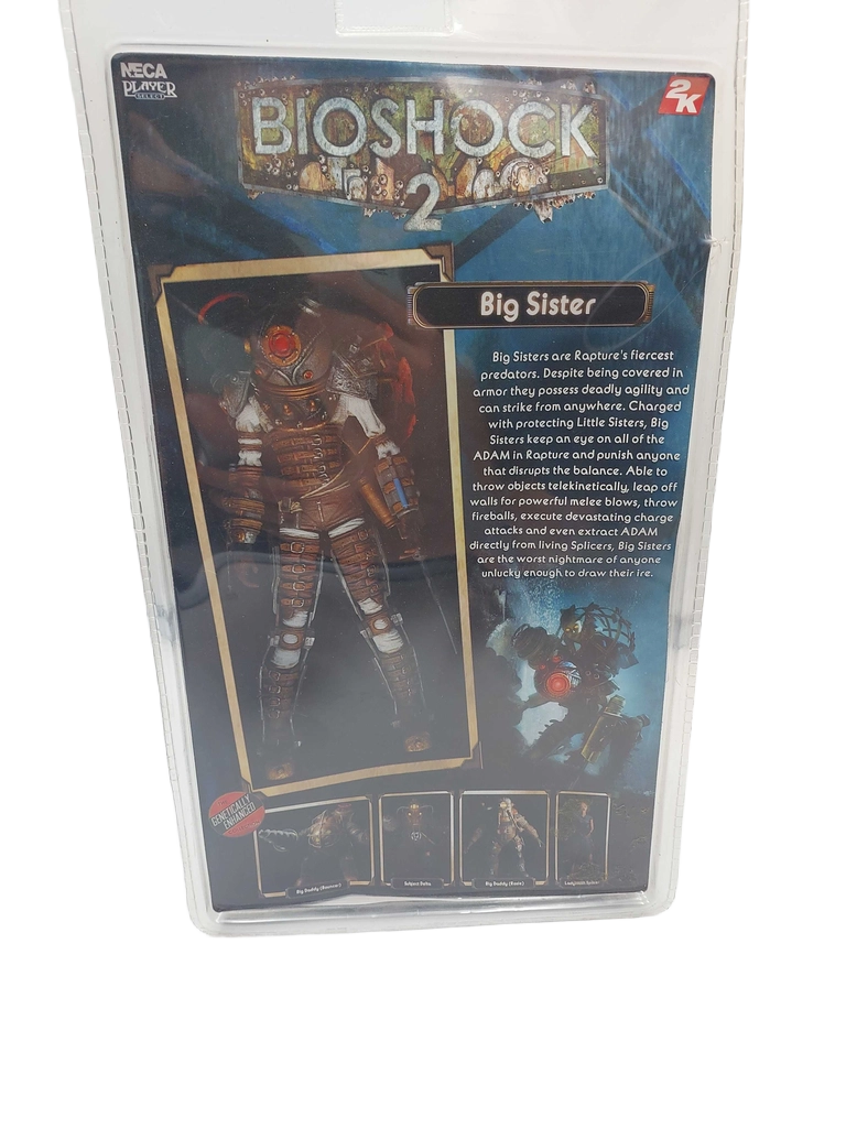 Big Sister Action Figure (GB1435441)