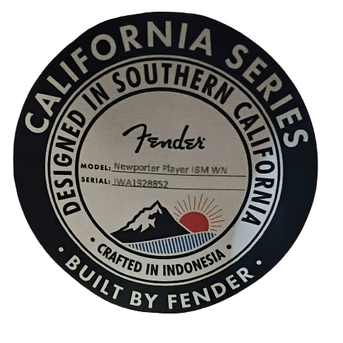 Fender Newporter Guitar Green (1435826)