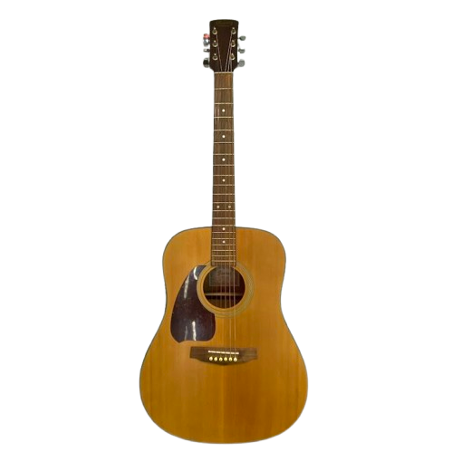 Ibanez PF5LLG Acoustic Guitar – With Hard Carry Case.