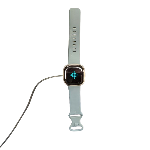 Fitbit Watch FB523SRAG-FRCJK With Charger