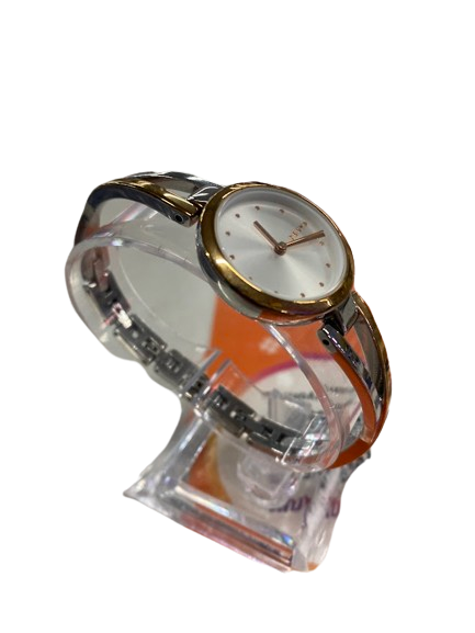 DKNY Eternal Ladies Rose Silver Analog Watch (NG)