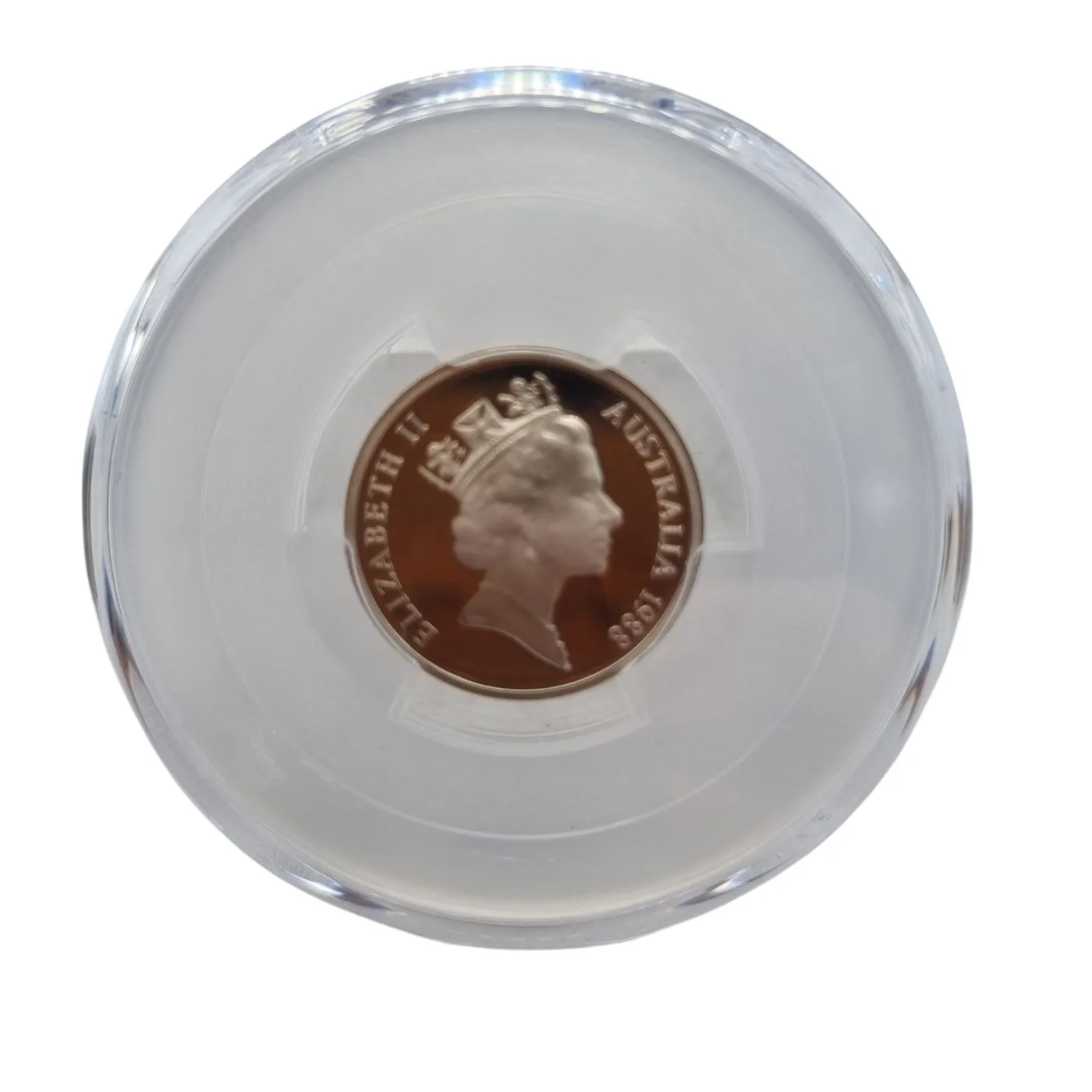 PCGS PR69DCAM Coin 1988 5C Echidna (WR1366568)