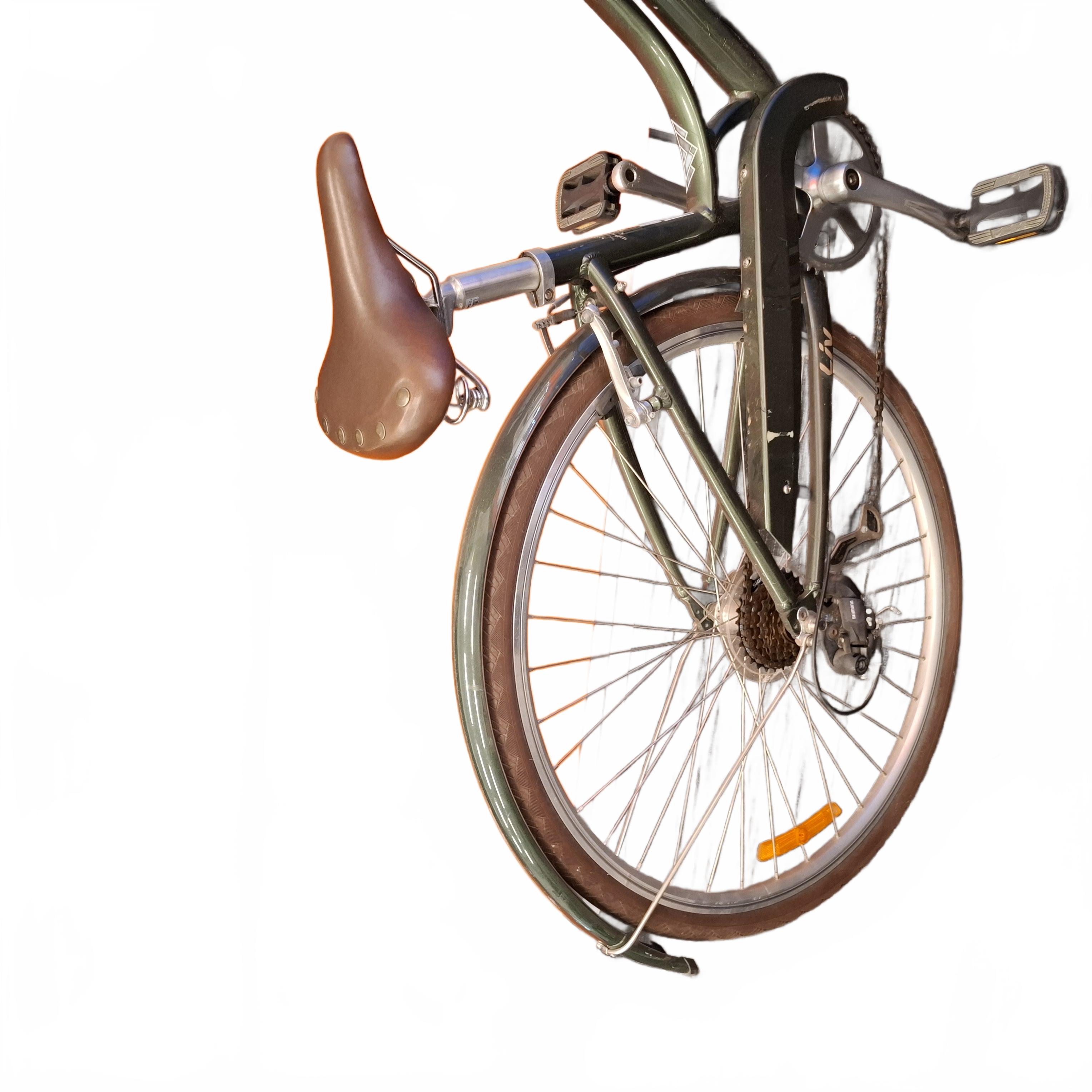 Giant Liv Flourish 3 Green Brown XS Ladies Push Bike – PICK UP ONLY – (1429411) (JN)