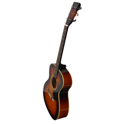 Essex Guitars OM160TS Acoustic Guitar No Accessories (LN)