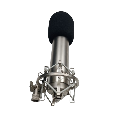 NUDE C12 Clone Valve Microphone (NA)