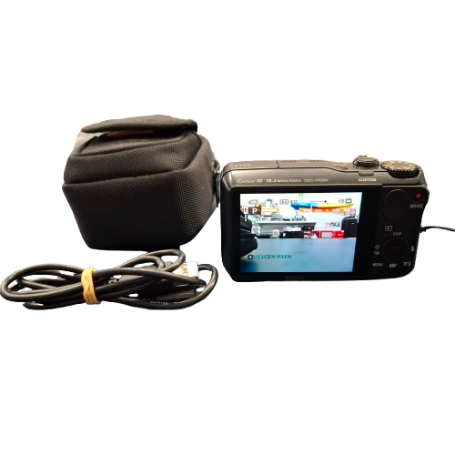 Sony Cybershot DSC-HX20V Digital Camera (JN)