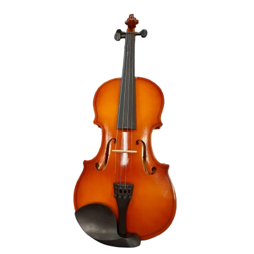 Unbranded Violin With Case (GE)