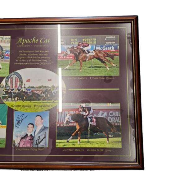 Apache Cat Photo Collage(JN) **Pick Up Only**