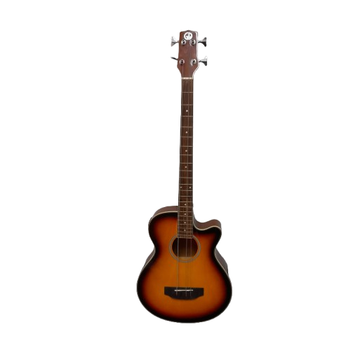 Custom Guitar Workshop 4-String Brown Custom Guitar (LN)