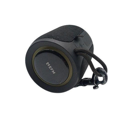 EFM Austin Mini Bluetooth Speaker 16W Charcoal Black (CP 1408867)