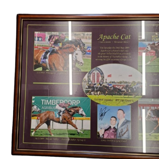 Apache Cat Photo Collage(JN) **Pick Up Only**