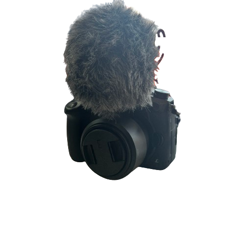 Panasonic Lumix DC-GH5 Camera (MK)