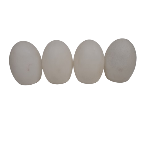 LED Sensory Light Up Egg Mood Lights with Charging Base [LN]