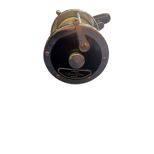 Daiwa Silver Sealine Fishing Reel (WR)