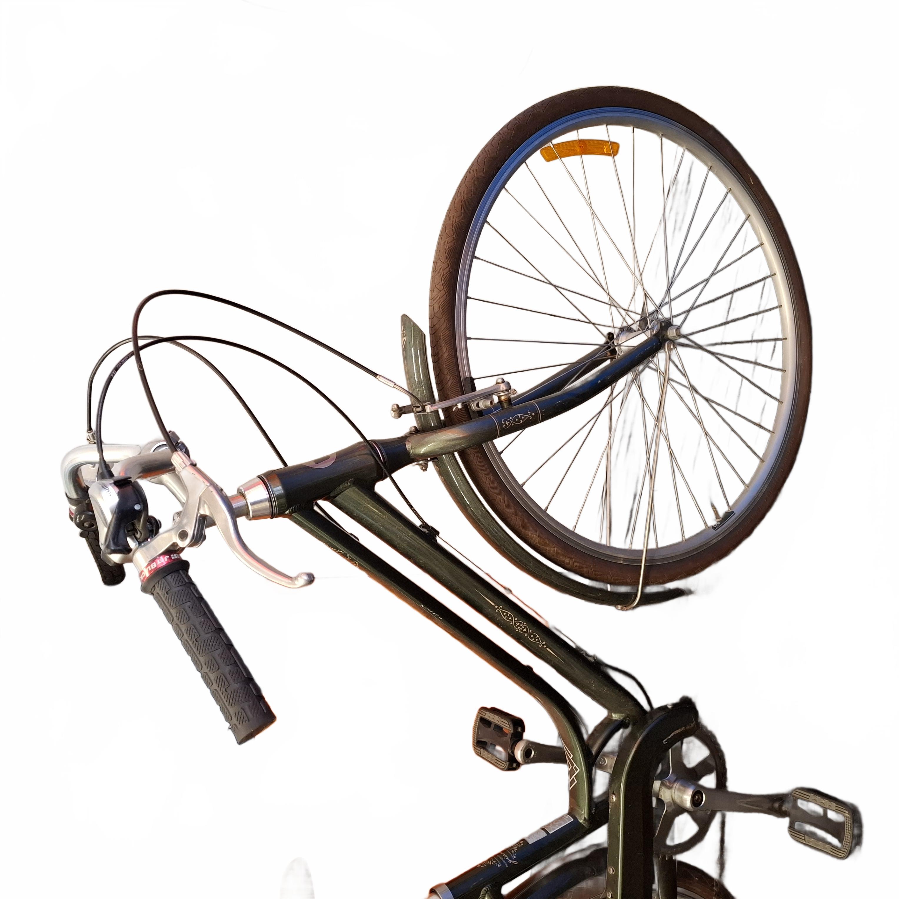 Giant Liv Flourish 3 Green Brown XS Ladies Push Bike – PICK UP ONLY – (1429411) (JN)