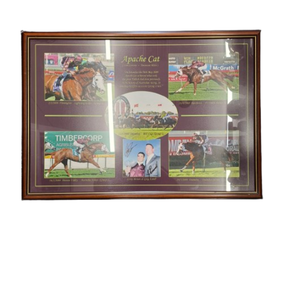 Apache Cat Photo Collage(JN) **Pick Up Only**