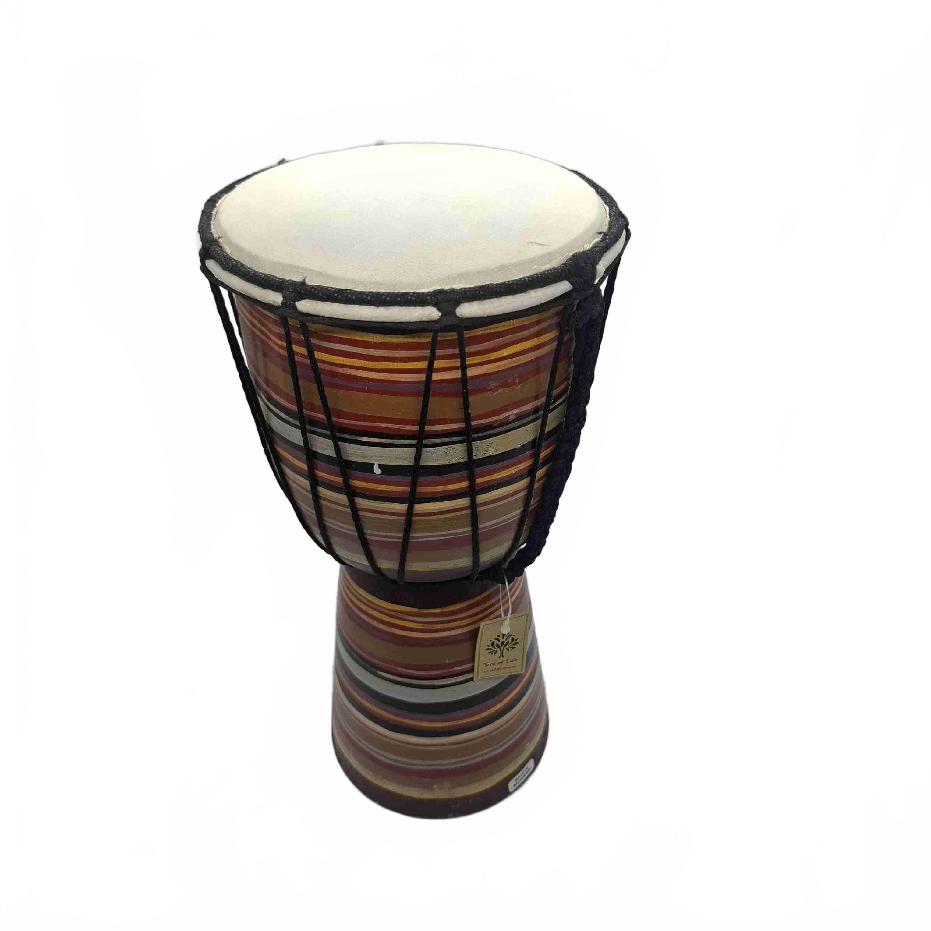 Tree Of Life Bongo  (WR 1432162)