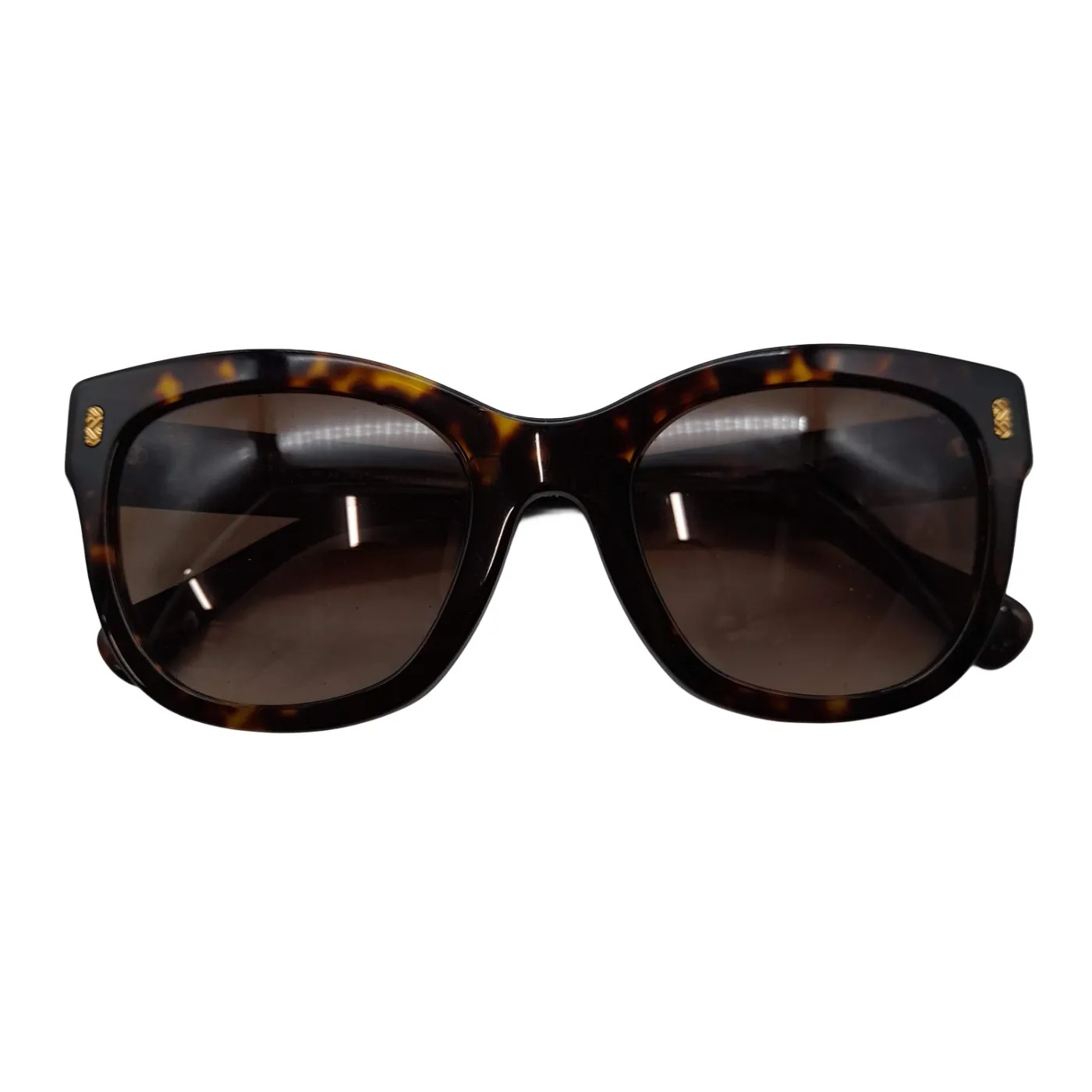 Ralph Lauren RA 5301U Sunglasses Brown (WL 1408996)