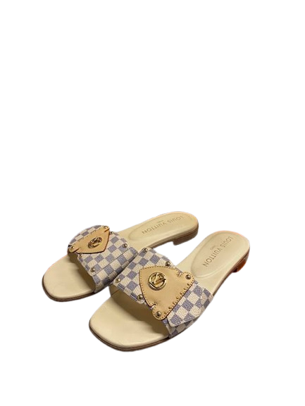 Louis Vuitton LW0215M Frame Flat Mule Grey Cream Size 36 With Entrupy Certificate (NG)