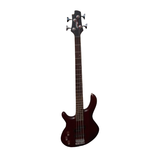 Cort Bass Guitar Action Left Handed With Hardcase