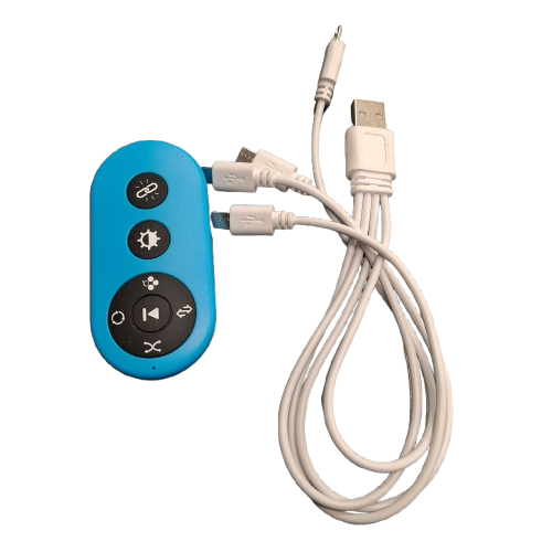 Fitness Lights With Remote & Charger In Bag