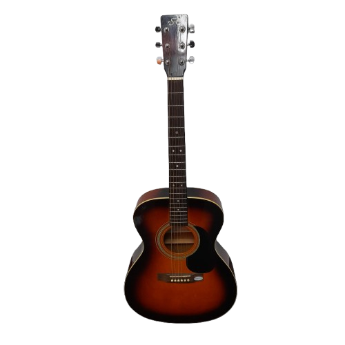 Essex Guitars OM160TS Acoustic Guitar No Accessories (LN)