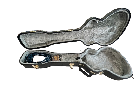 Epiphone Les Paul Standard Electric Guitar With Hard Case