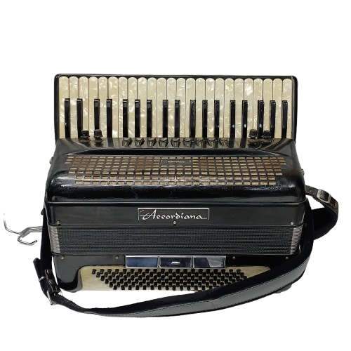 BYEXCELSIOR Accordian 320 Black (WR 1399401)