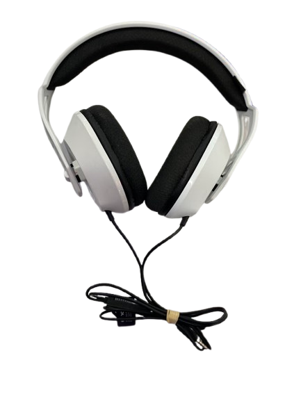 Rig 300 Pro White Gaming Headphones (NG)