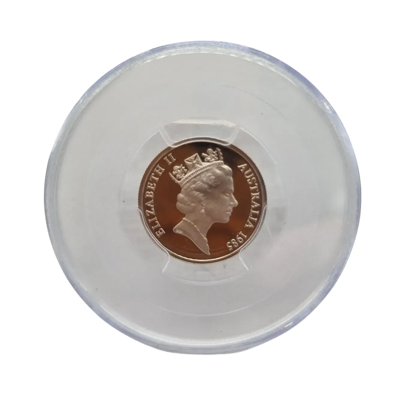 PCGS PR69DCAM Coin 1985 5C Echidna (WR1366555)