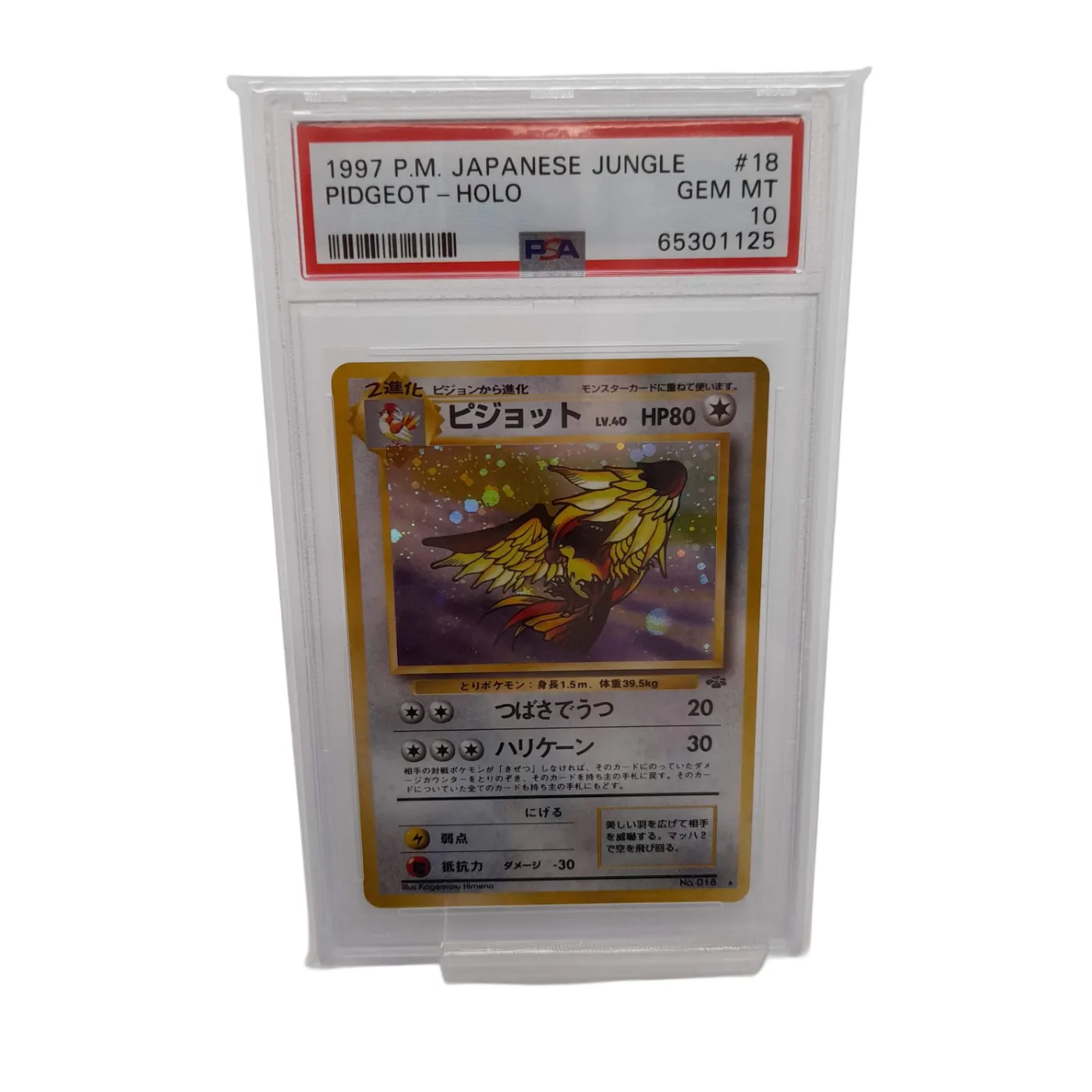 PSA GEM MT 10 1997 PM Japanese Jungle Pidgeot Holo Pokémon Card (WL 1360588)