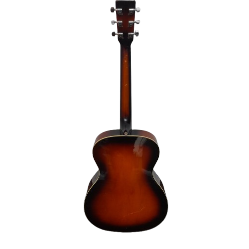 Essex Guitars OM160TS Acoustic Guitar No Accessories (LN)
