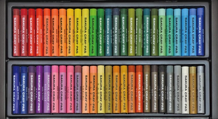 Cray-Pas Expressionist Extra Fine Quality Oil Pastels 50 Sticks XLP50 (LE)