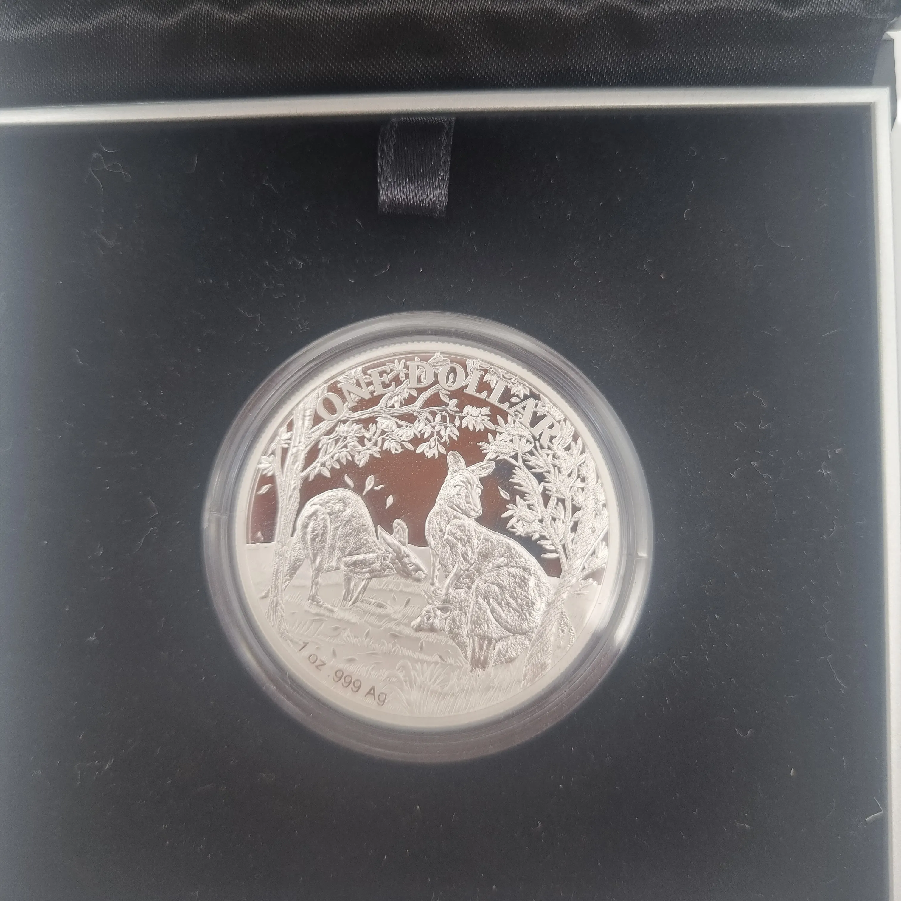 Seasons Change – Kangaroo Series 2019 $1 Fine Silver Proof Coin