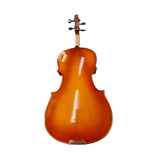 Unbranded Violin With Case (GE)
