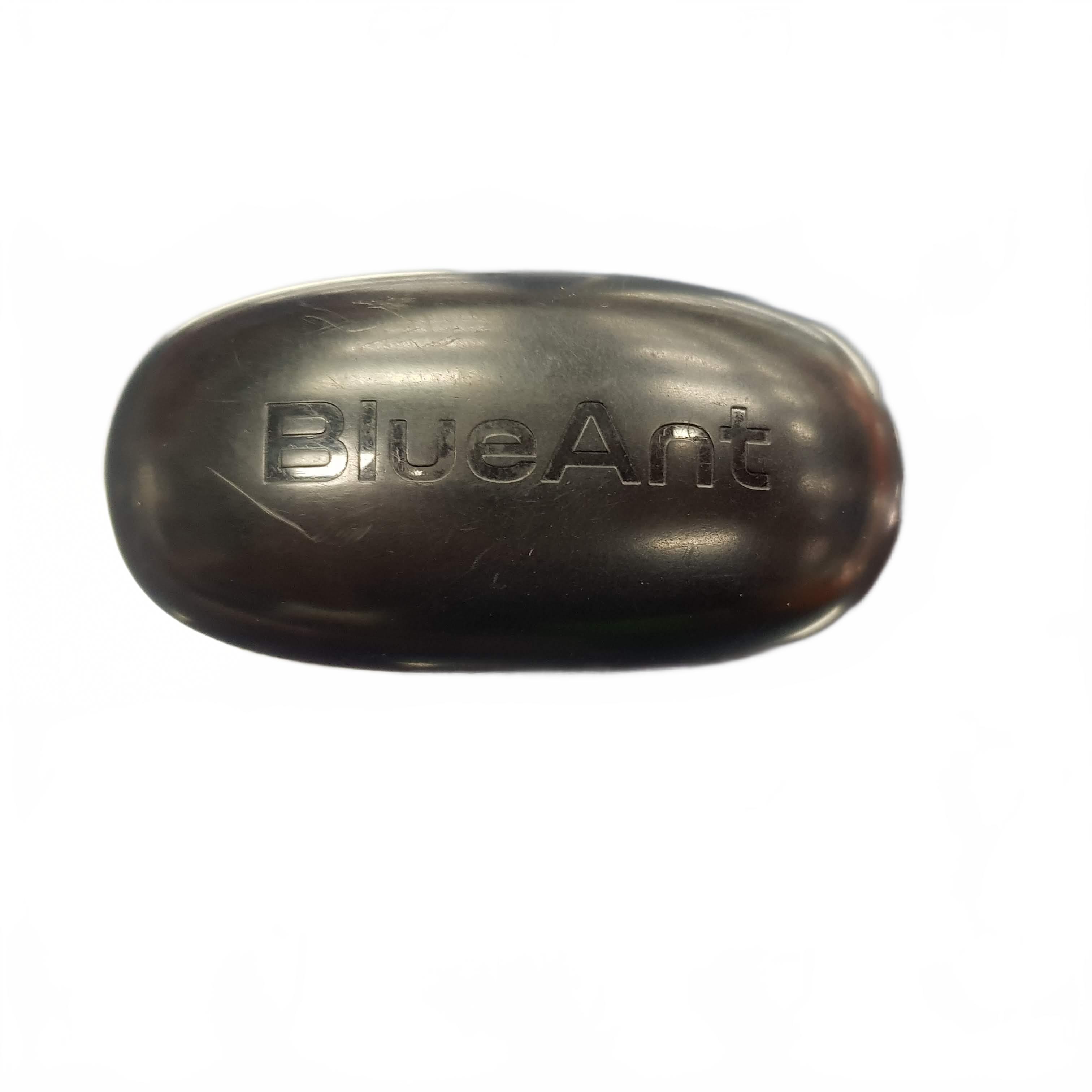 BlueAnt Earphones in Charging Case Black (1435038) (MR)