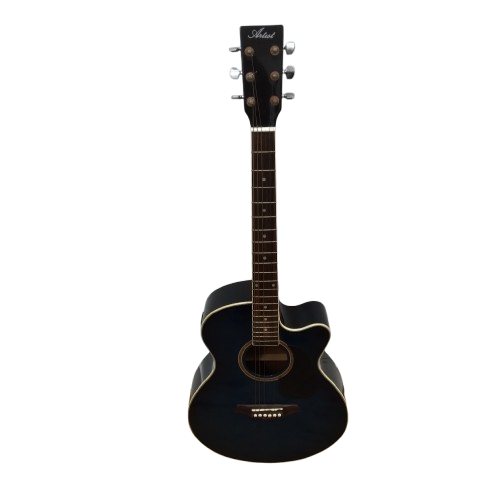 Artist Beginners Acoustic Guitar ( MISSING 1 STRING ) ( LE ) Pick Up Only