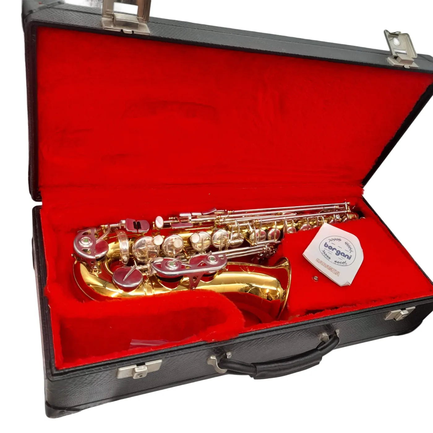 Borgani Macerata Italy Alto Saxophone – Professional – With Hard Case, Strap & Mouthpiece (WL )