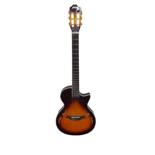 HAZE BELCAT Semi-Hollow Acoustic Guitar with Hard Case (MR)