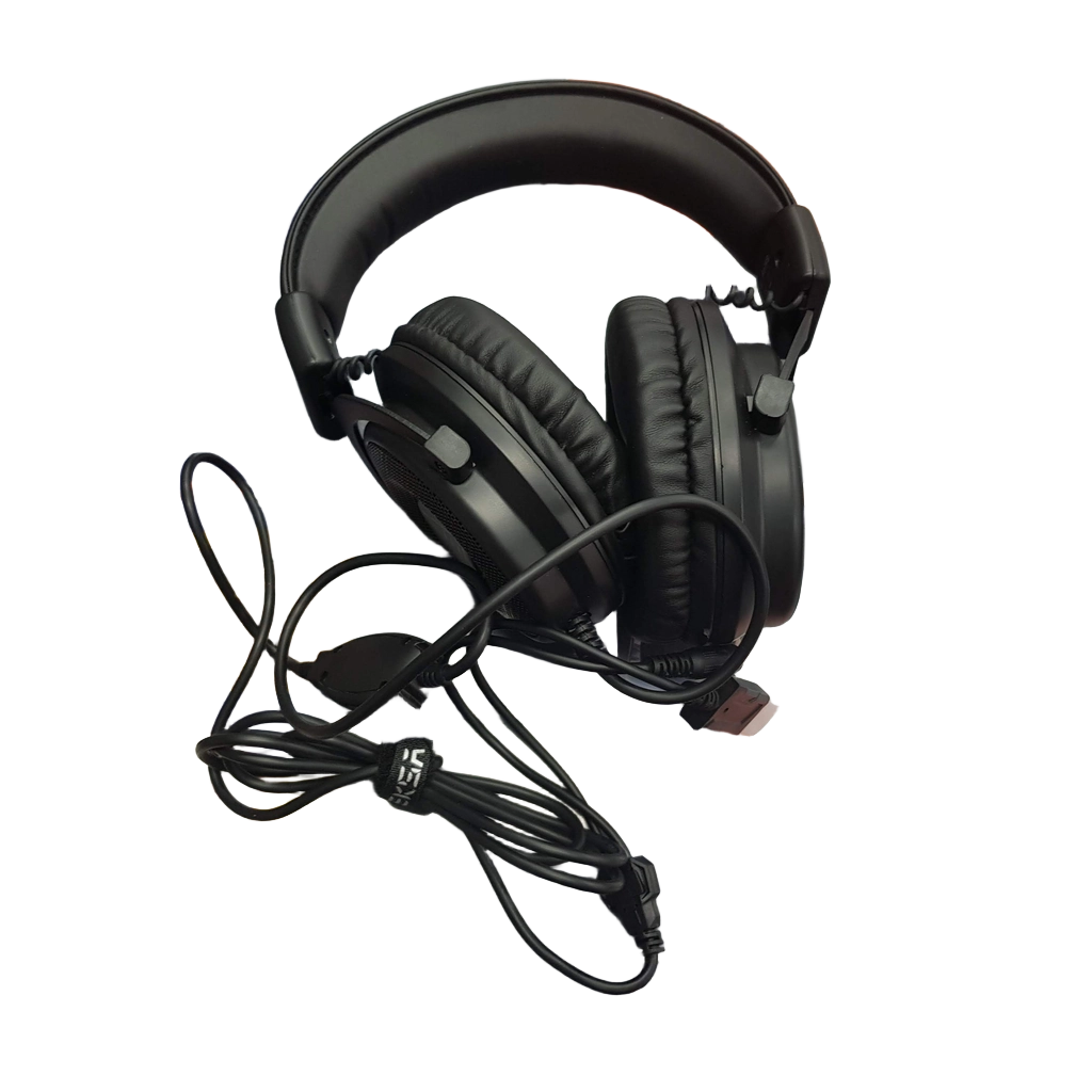 EKSA E900 DL Gaming Headset with Detachable Noise-Canceling Microphone (MR)