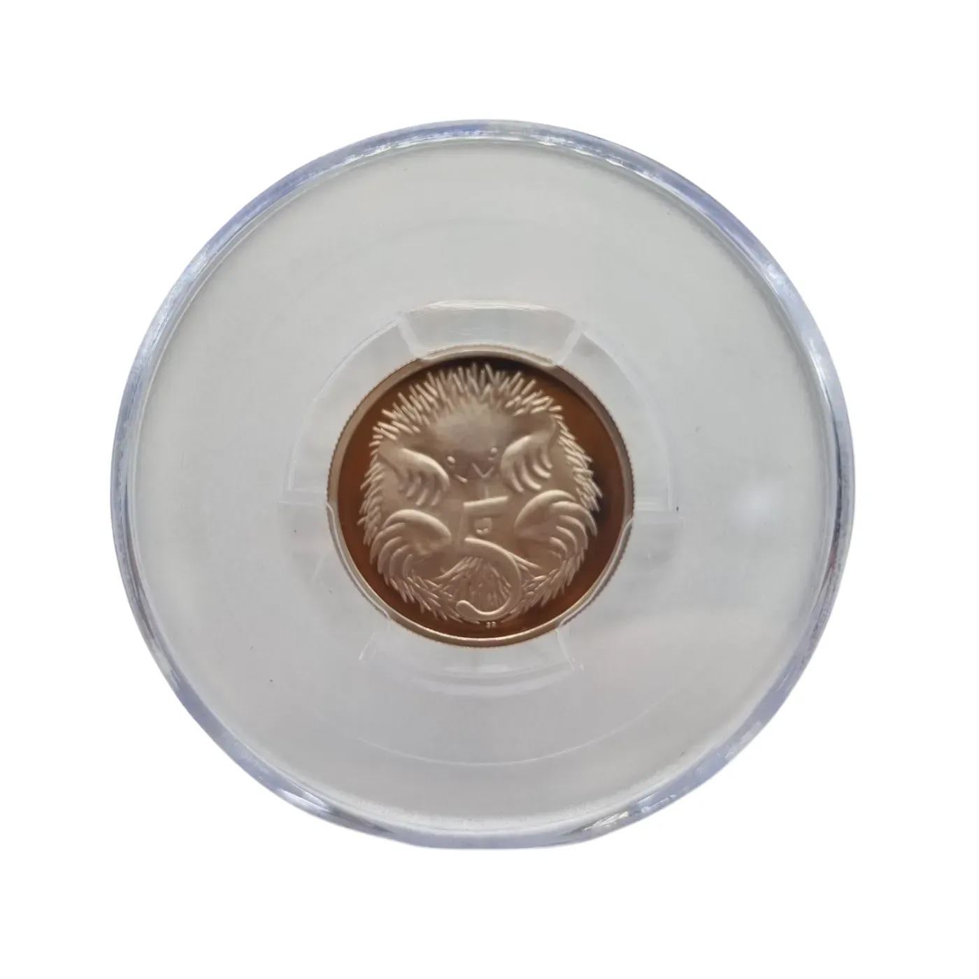 PCGS PR69DCAM Coin 1985 5C Echidna (WR1366555)