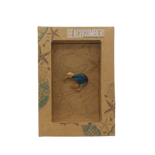 BeachComber Brooch – Kiwi Shell Desigin (1361194 CP)