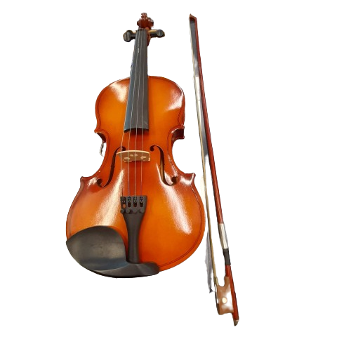 Unbranded Violin With Case (GE)