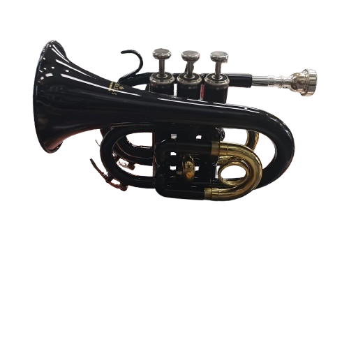CIBAILI Black Bb Trumpet with Case (NA)