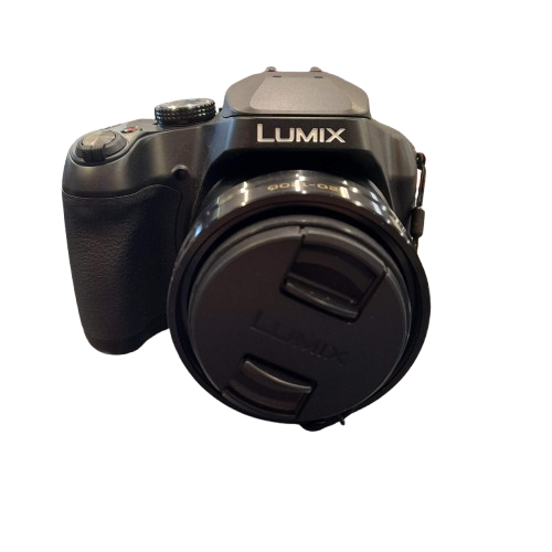Panasonic Lumix DC-FZ80 Camera (GE)