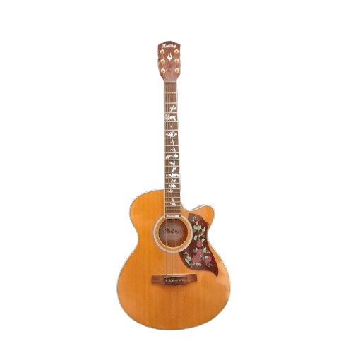 Monterey Guitar MAC-25TNPAK (1434152) (GE)
