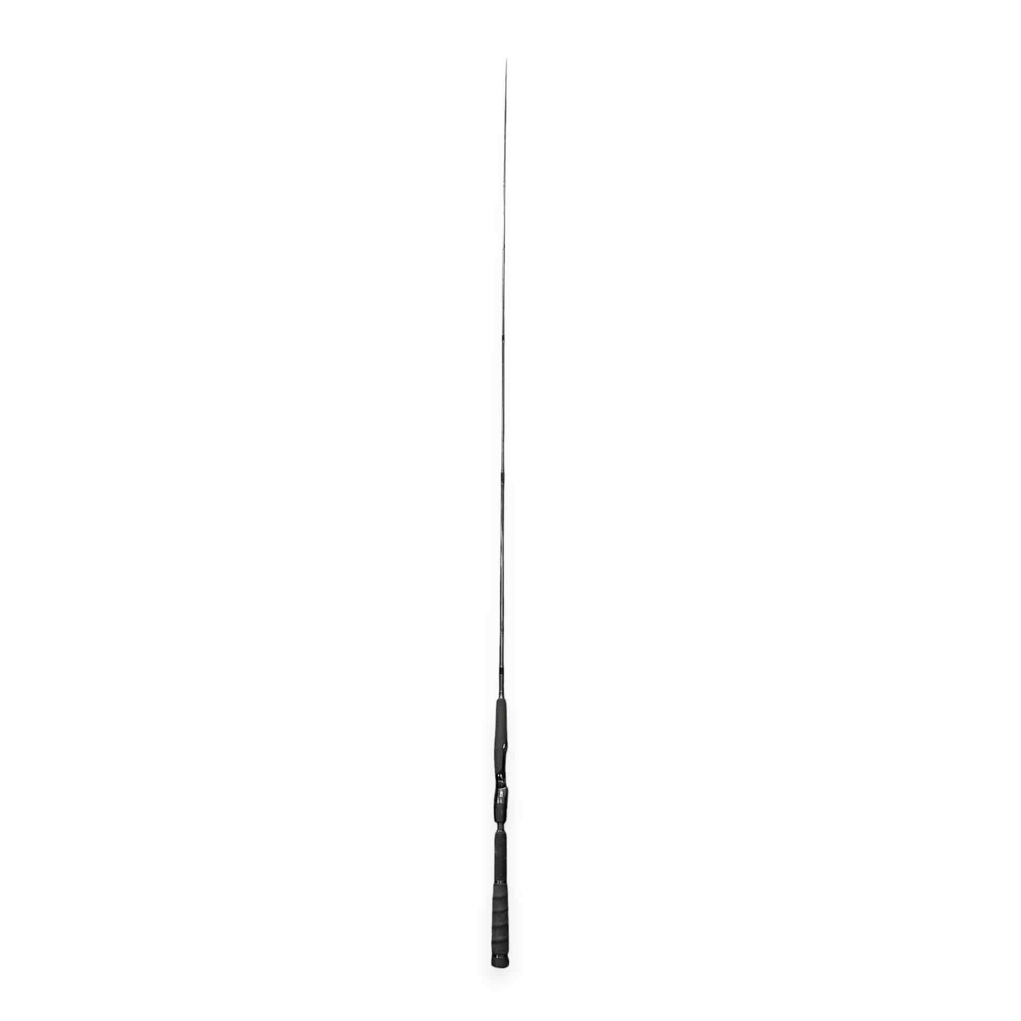DAIWA WILD EEL 701MLFS FISHING ROD